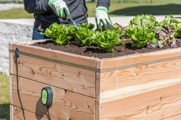 KERBL SnailStop Elektrischer Schneckenzaun